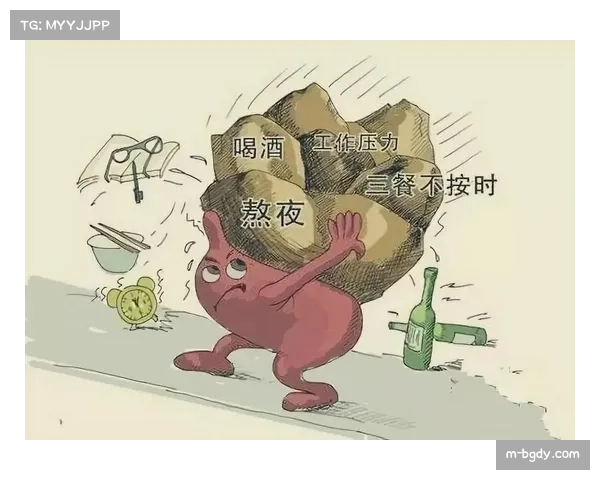 扇耳光比赛对脑部健康的潜在危害与风险分析