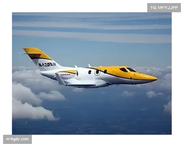 FlyHouse与纽约喷气机达成私人航空合作,体育服务细分市场扩张 FlyHouse与纽约喷气机达成私人航空合作,体育服务细分市场扩张